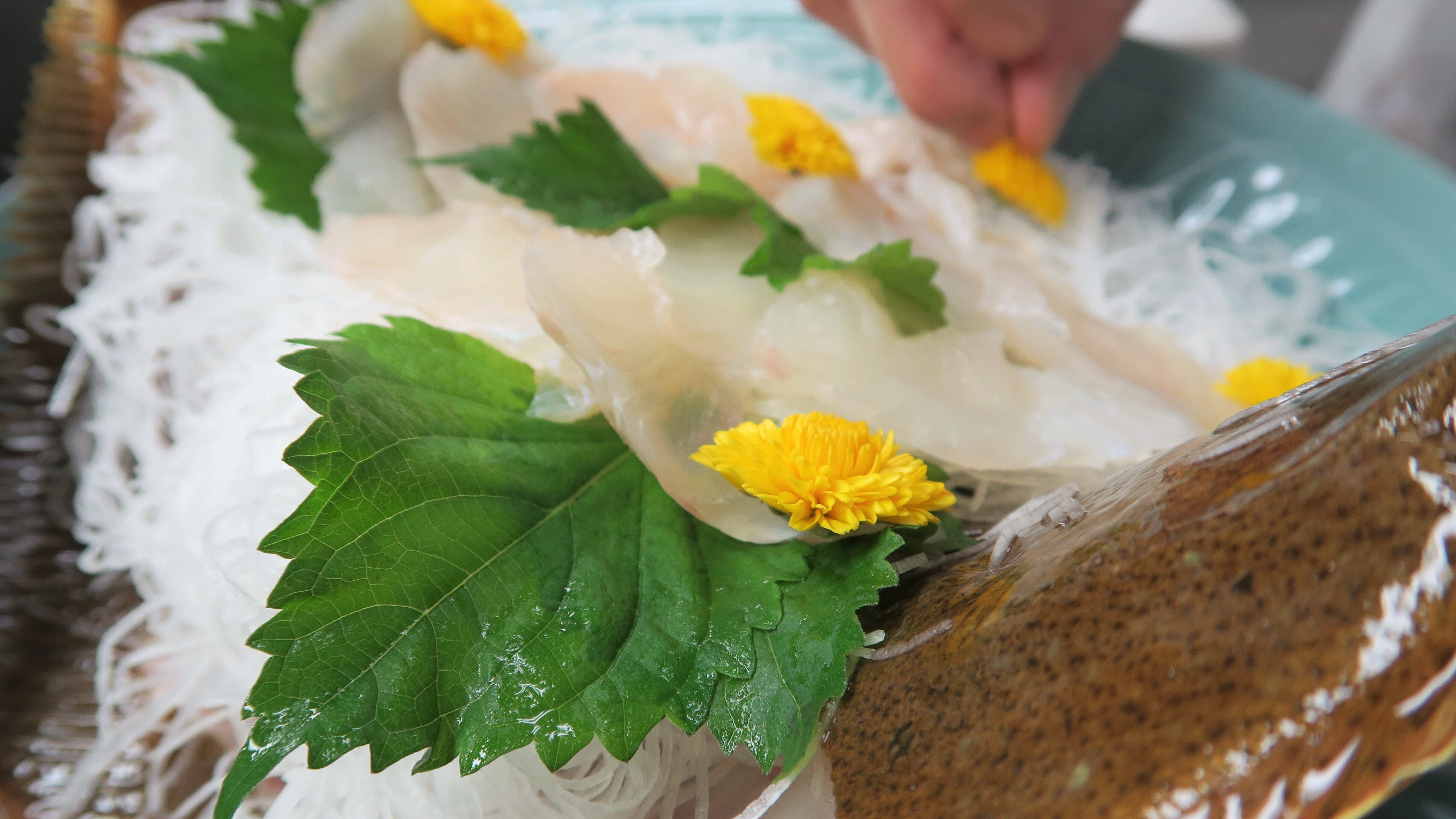 製作活魚