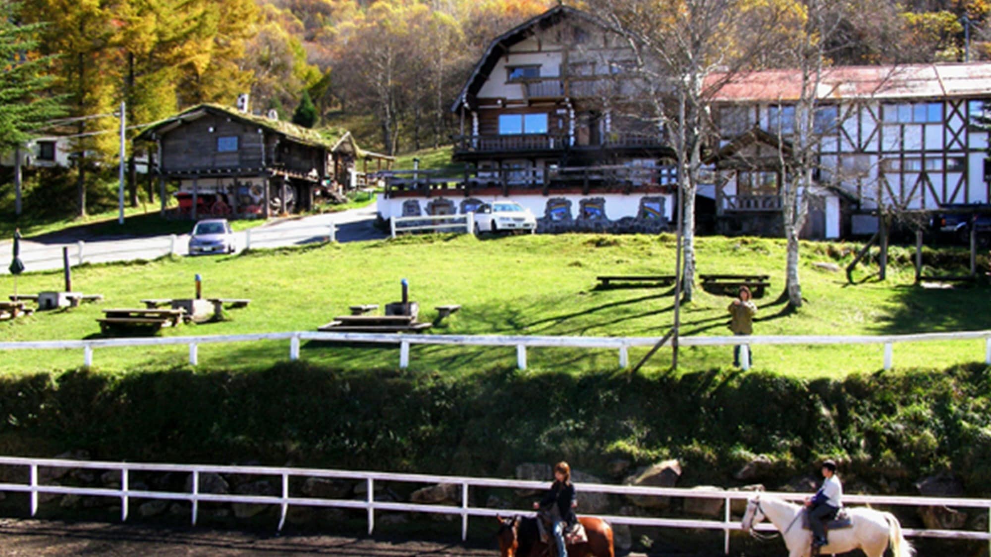 ・A horse riding ranch where you can relax among the natural beauty of white birch trees and the animals.