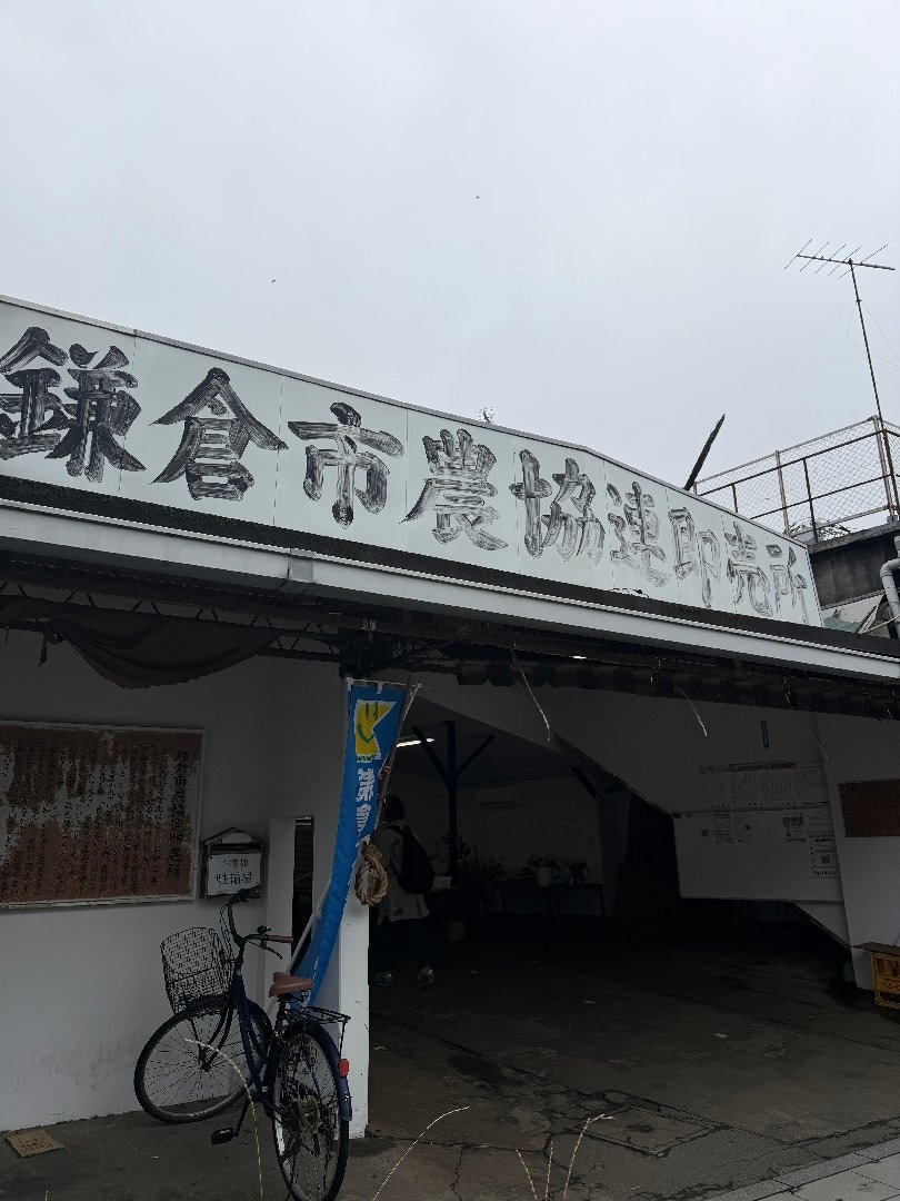 IMG_0514.jpeg