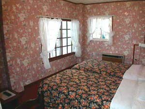 Western-style twin room