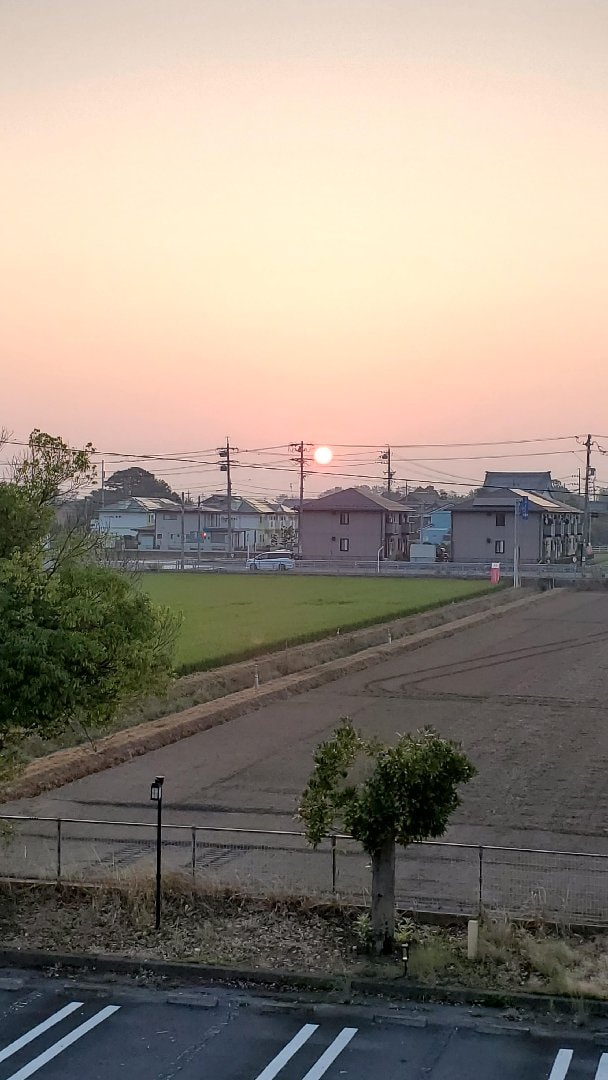 20260721_050915.jpg
