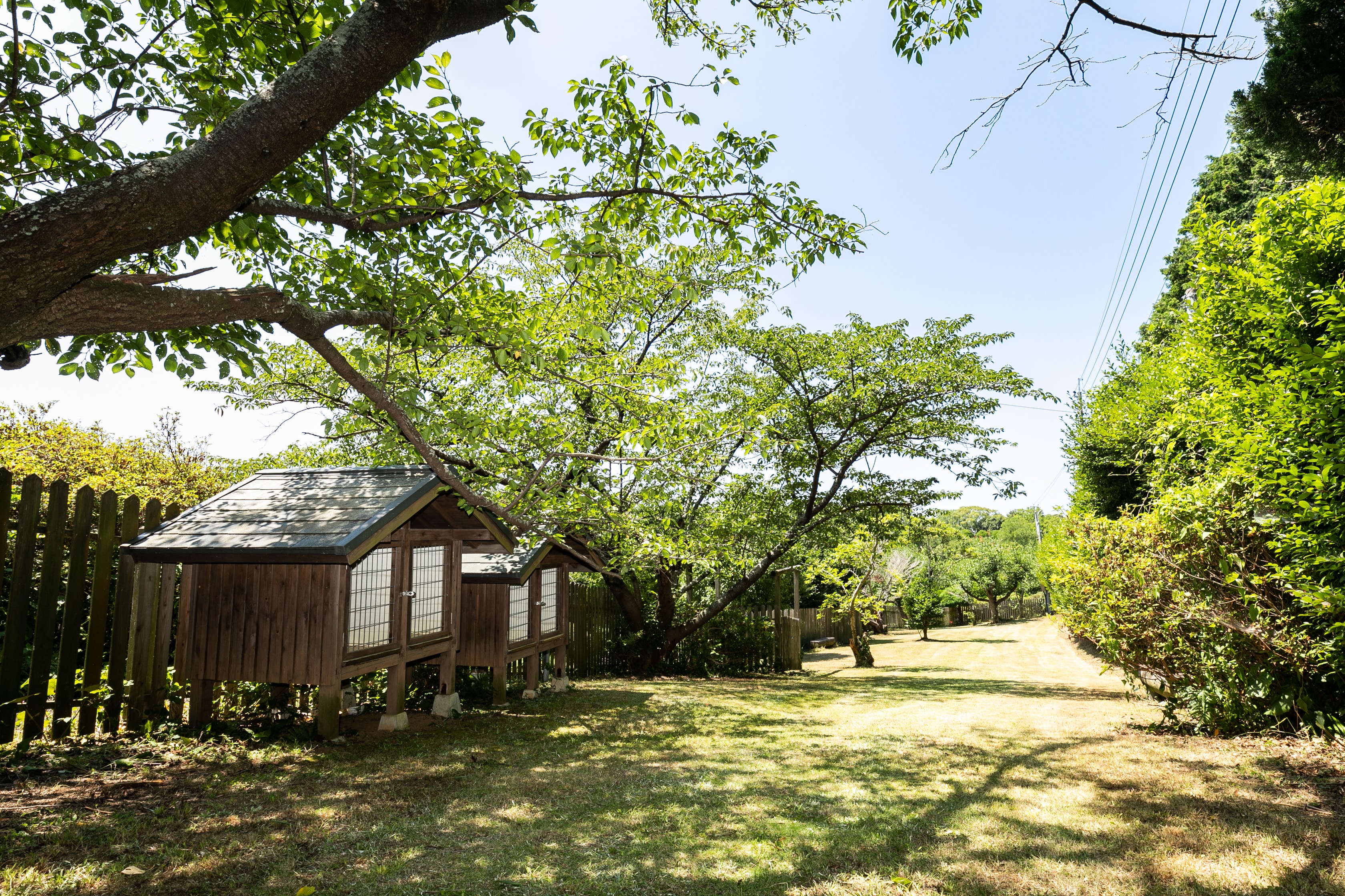 能古島One Land Park，毗鄰能古島島公園的狗狗專用跑道