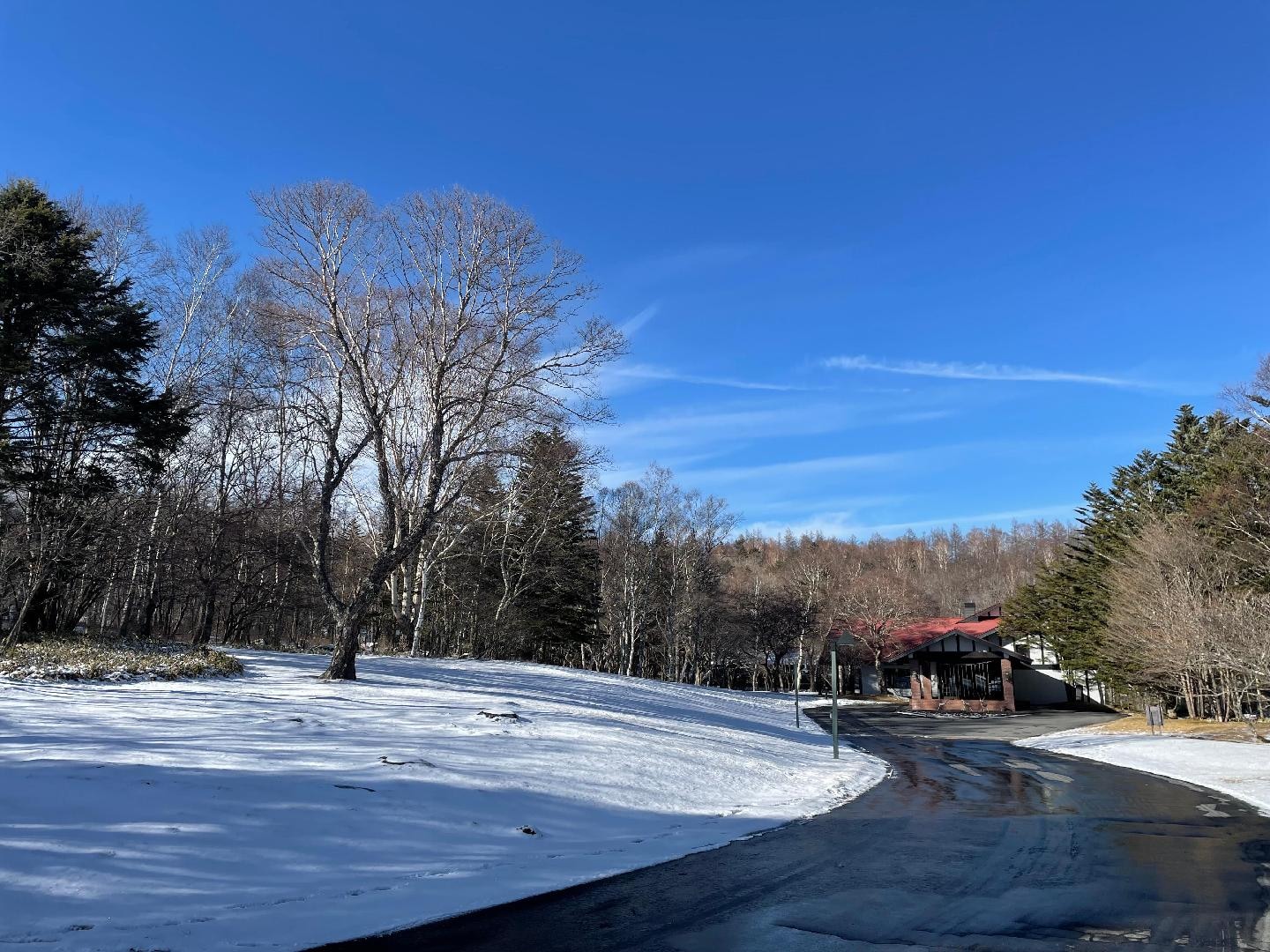 写真 2025-12-27 13 31 23.jpg