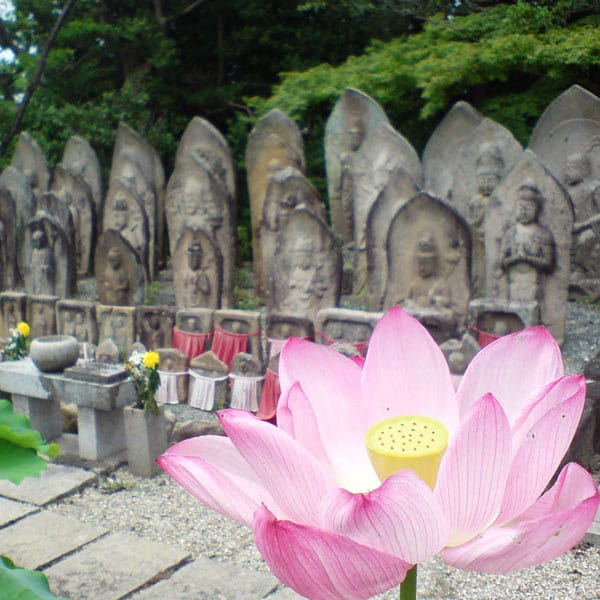 喜光寺石佛莲花
