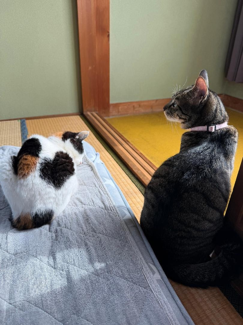 IMG_7094.jpeg