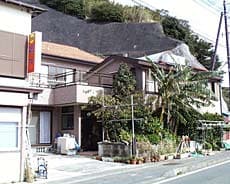 Appearance image