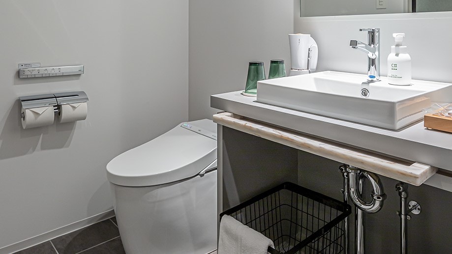 Washbasin (standard queen)