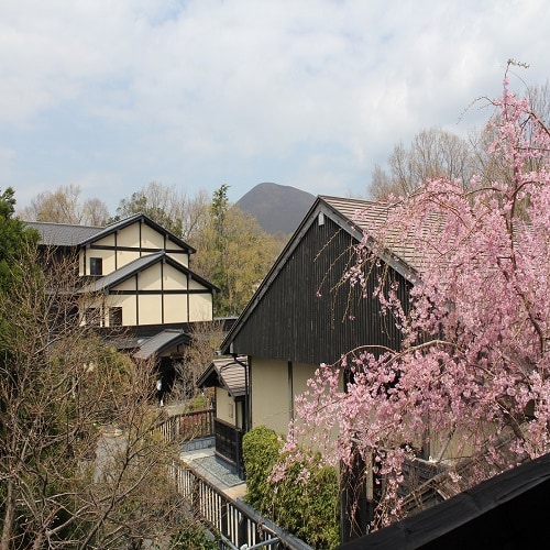 Spring Kira no Sato