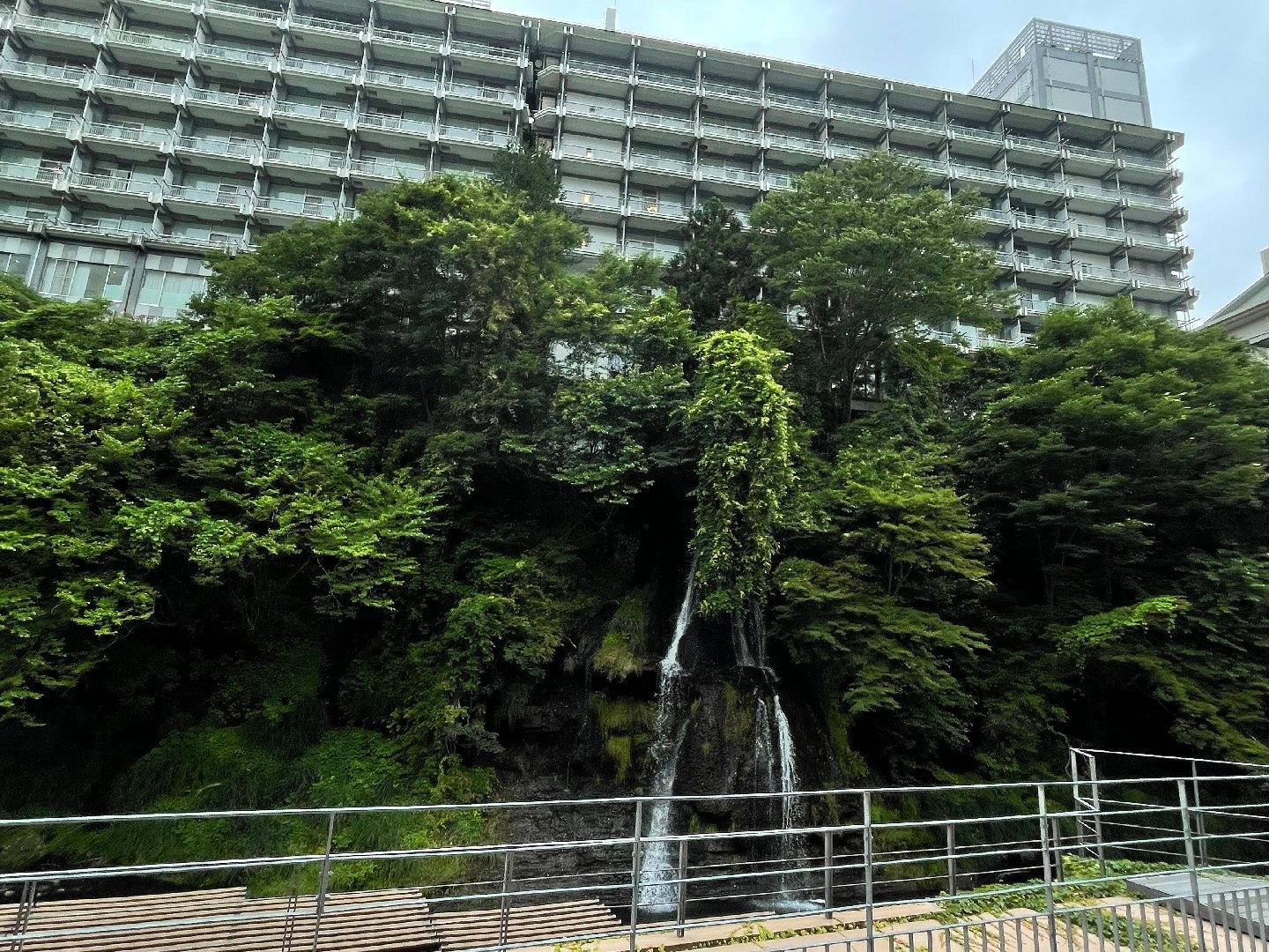 874C75A1-B6AA-454C-9B1D-F8C27C6BD668.jpeg