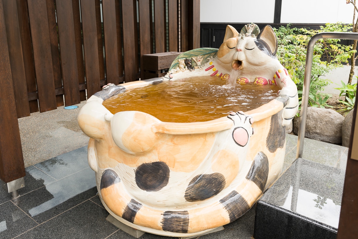 Male calico cat bathing for good luck