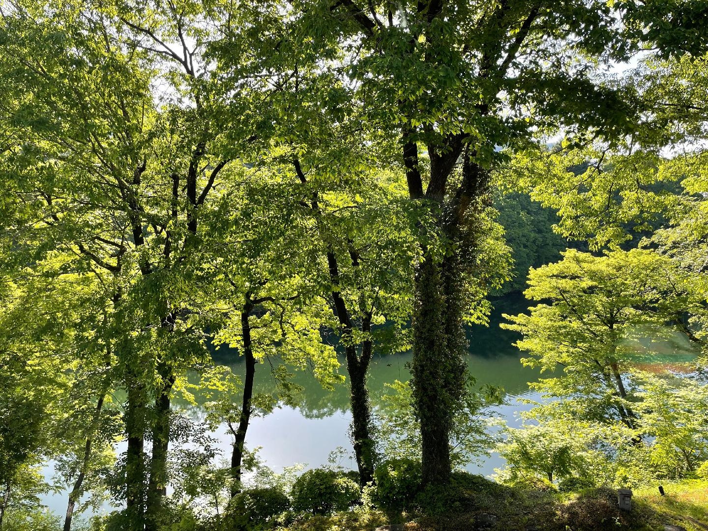 IMG_5703.jpeg