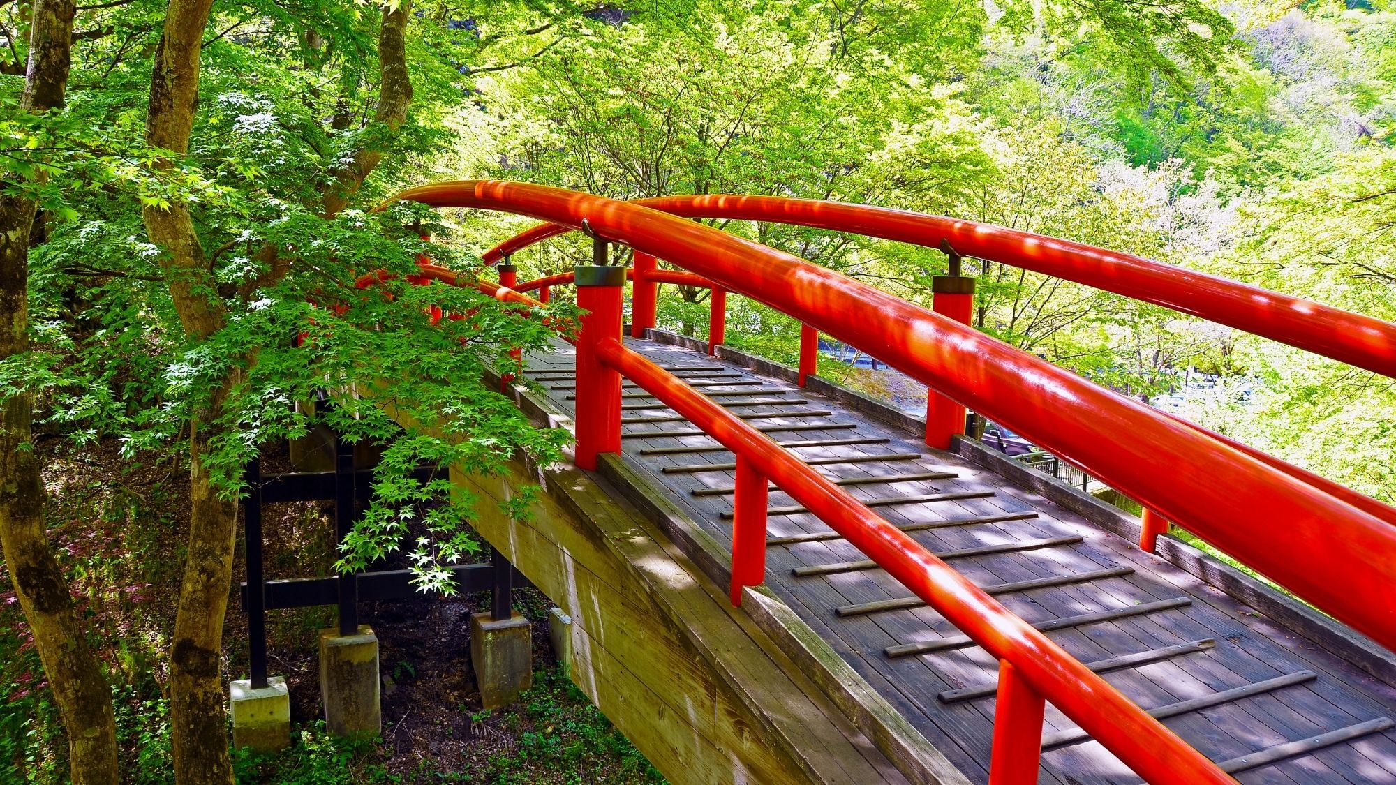 Jembatan merah terang tampak hebat di hijau yang indah. "Kajikabashi" hijau segar