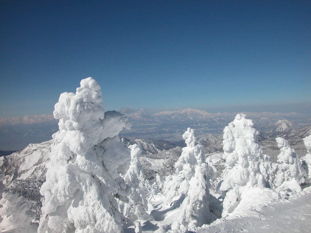 Shiga Kogen in winter