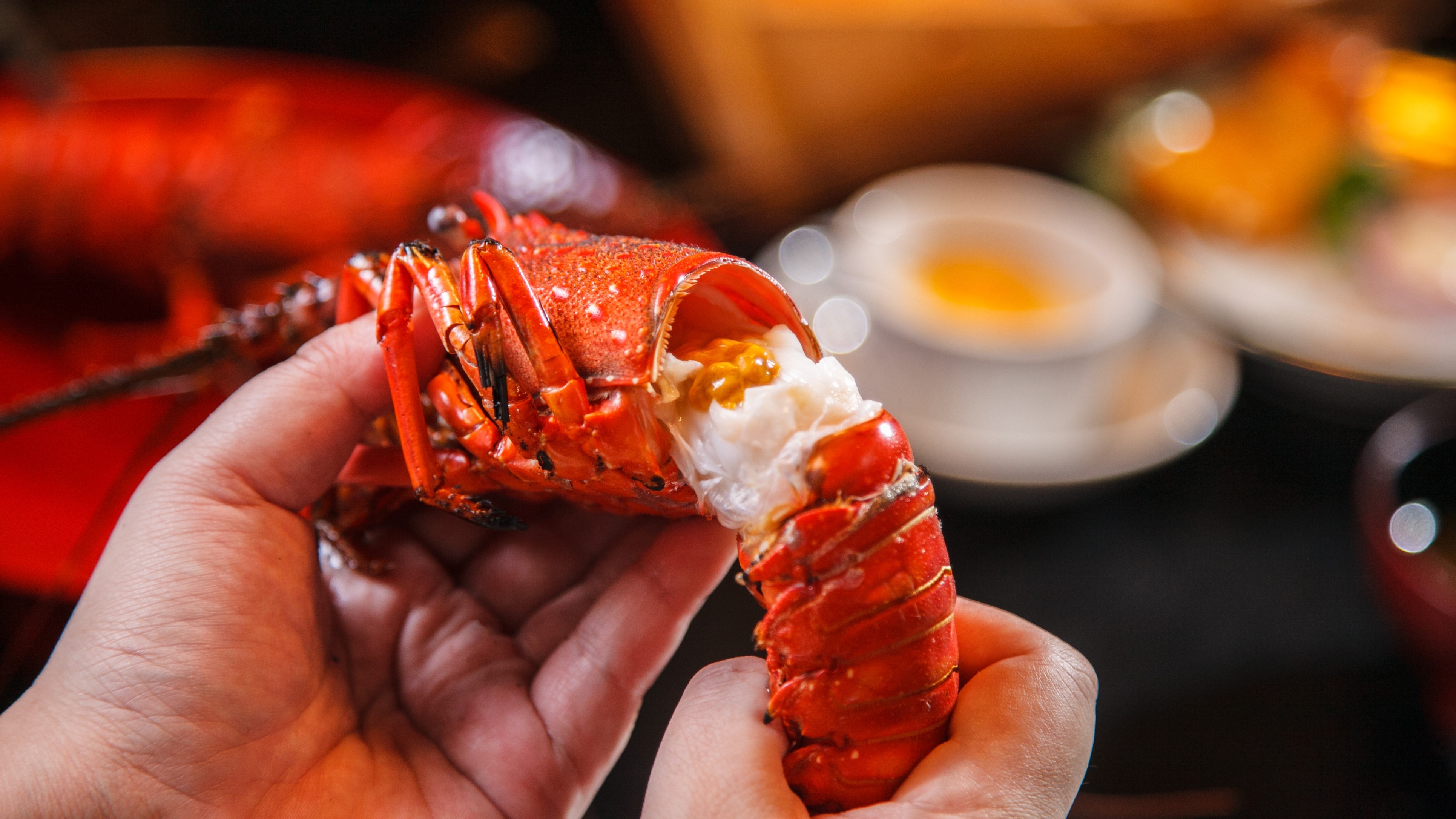 Lobster berduri panggang