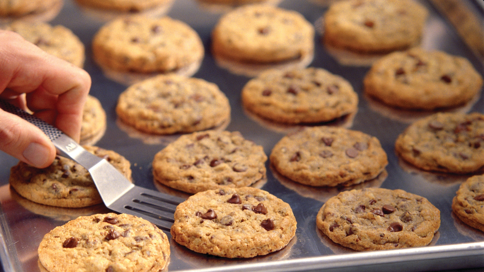 [Highly recommended!] Upon check-in, guests will receive a special chocolate chip cookie from the hotel.