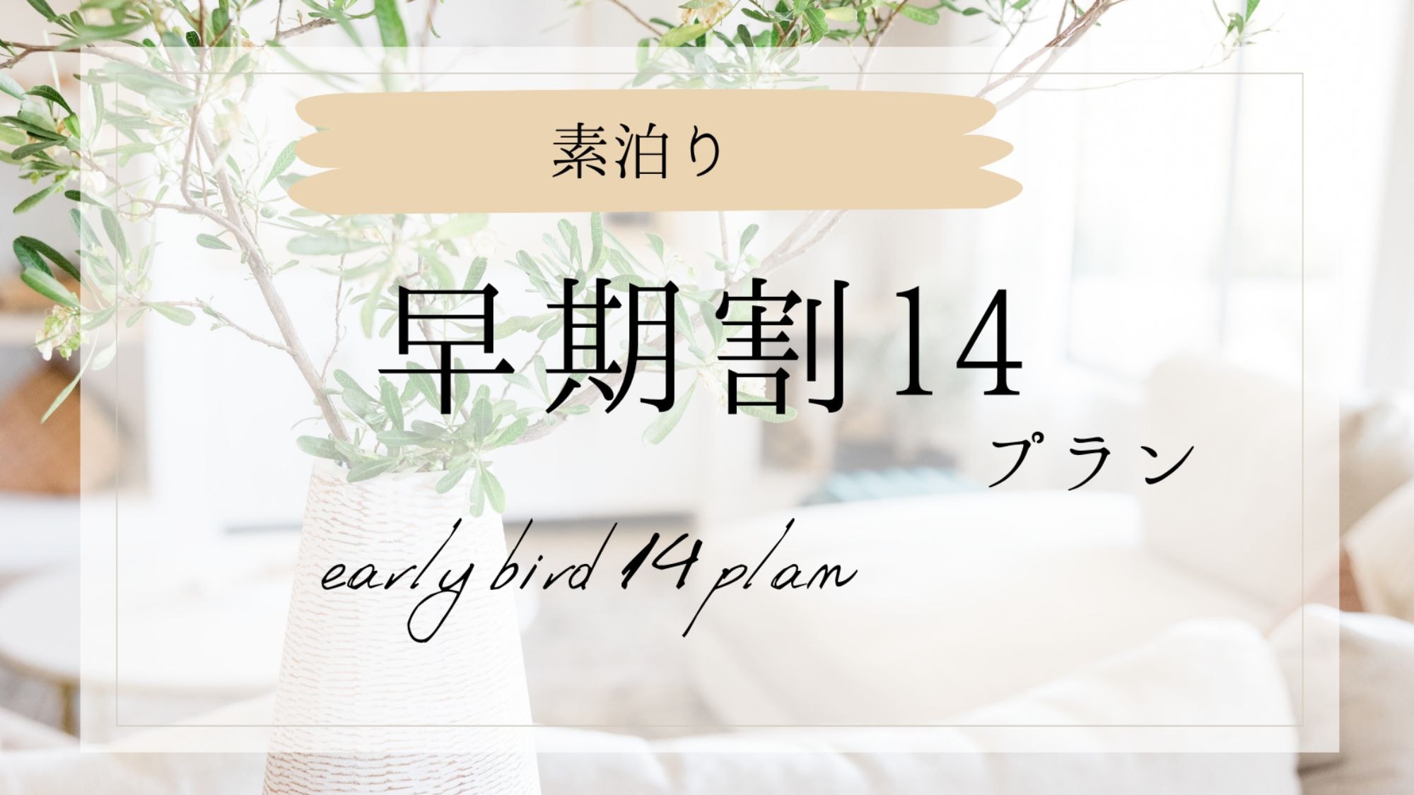 No meals early bird 14 plans