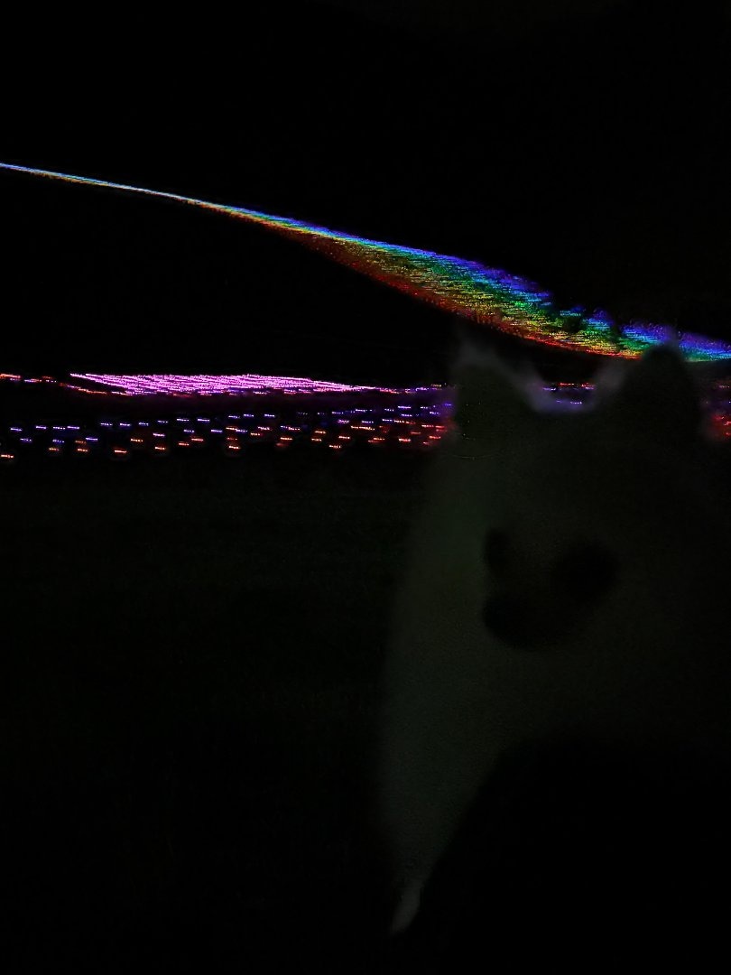 1AF0952C-C2EA-4F58-83B0-8BE50683B2CF.jpeg