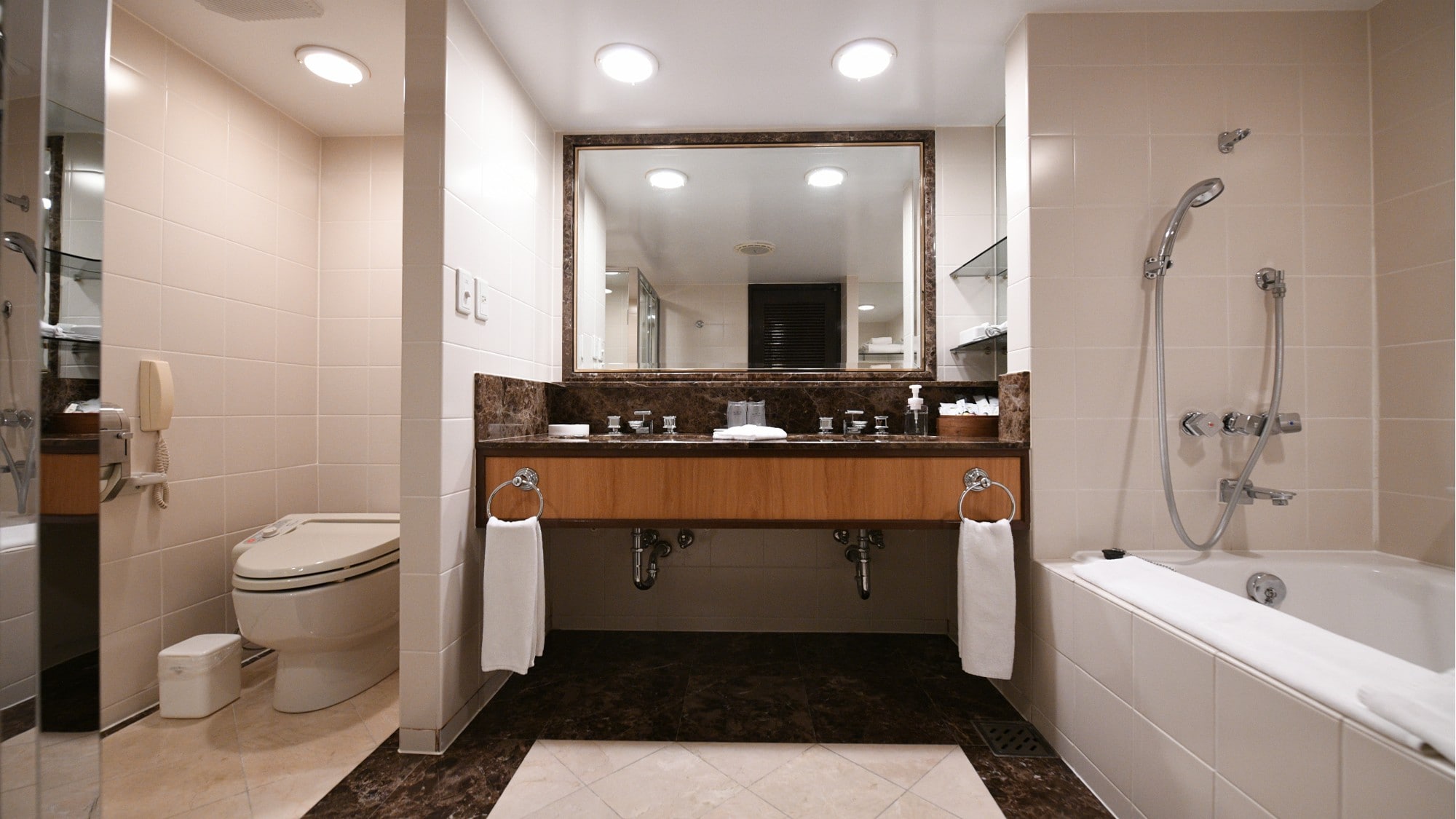 Executive Suite (Bathroom)