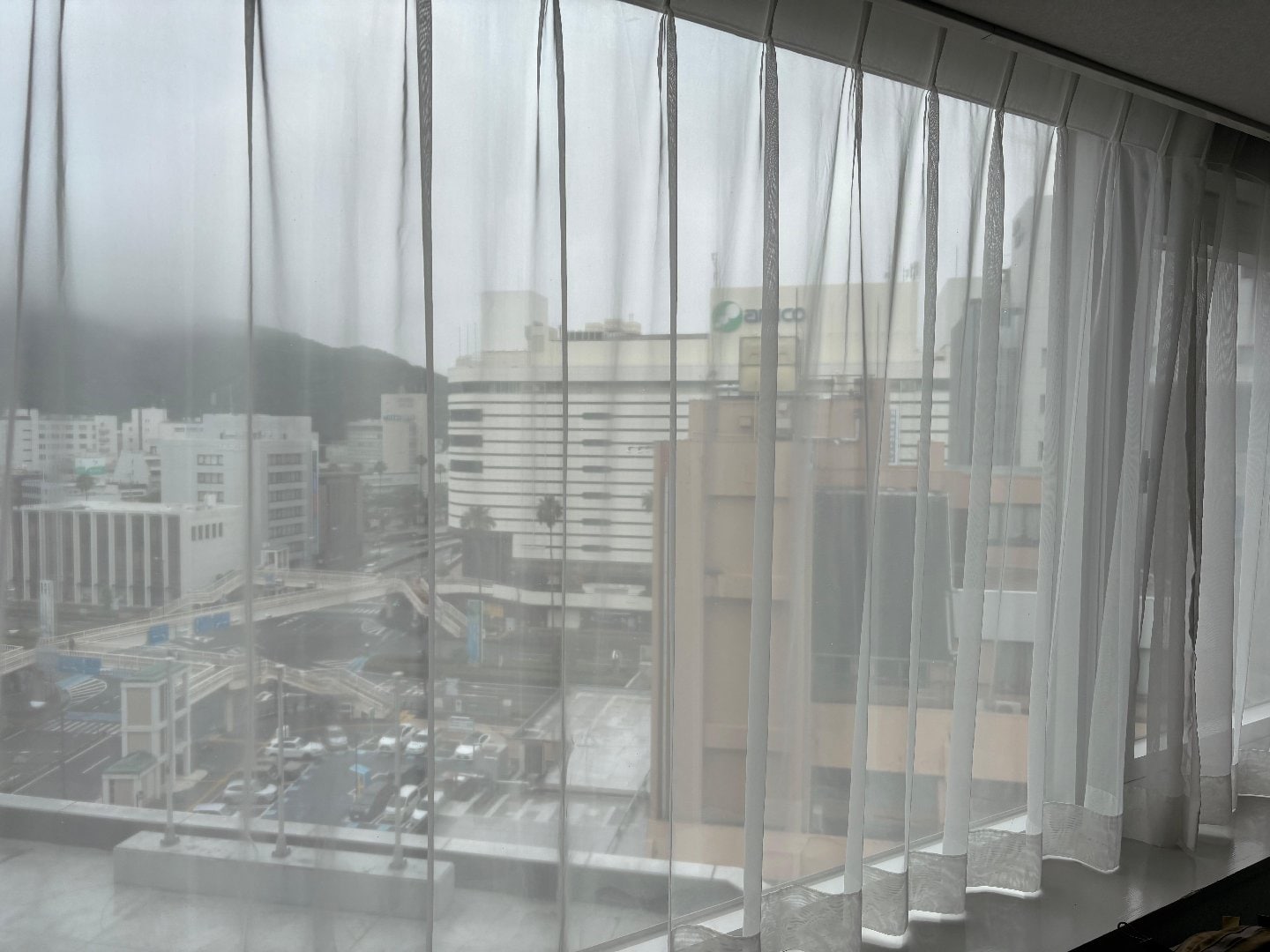 IMG_8501.jpeg