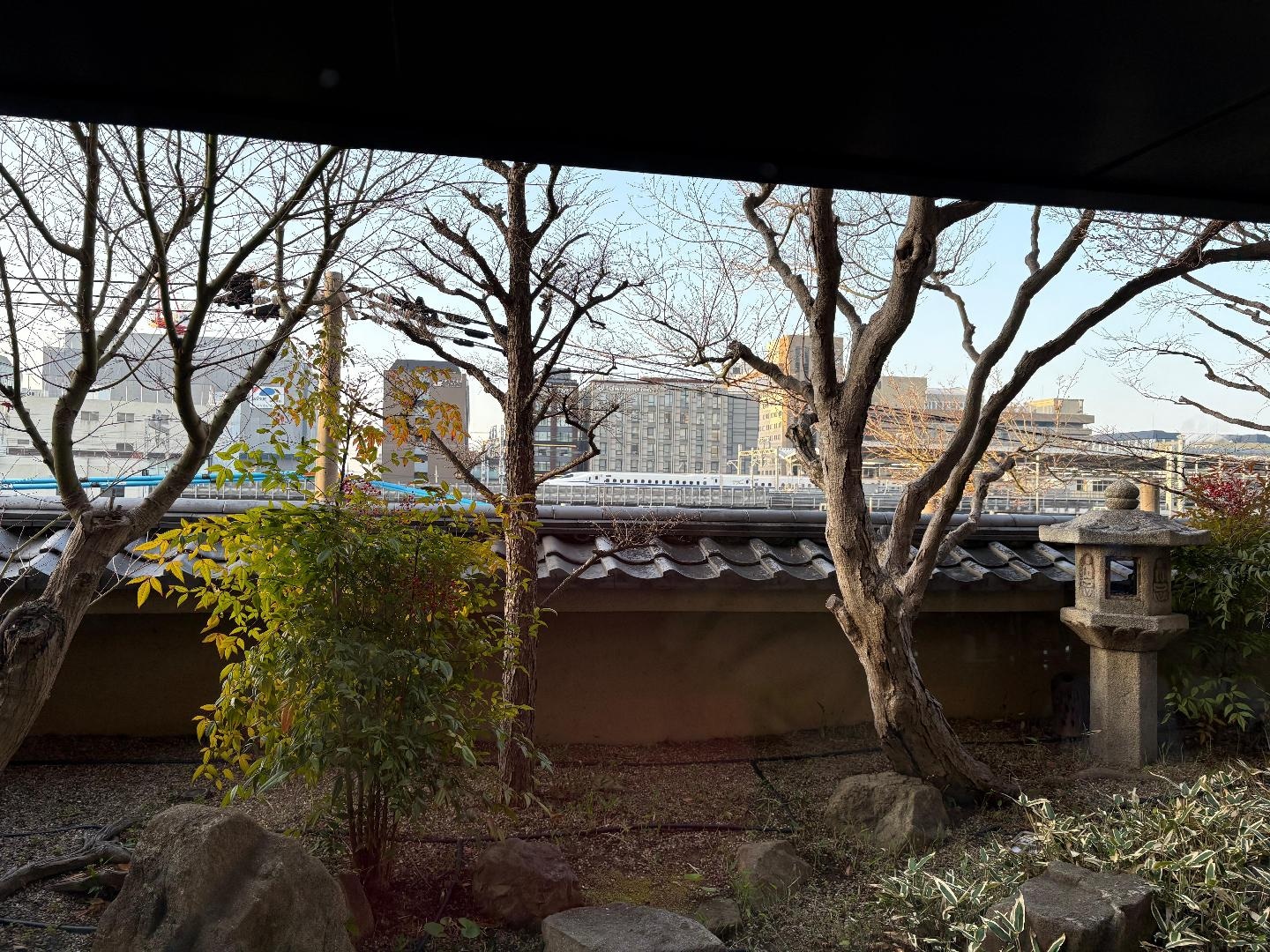 IMG_2837.jpeg