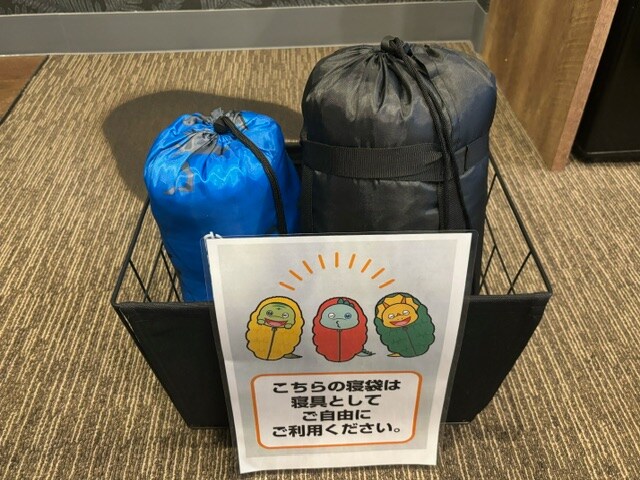 [Dinosaur Room] Sleeping Bag