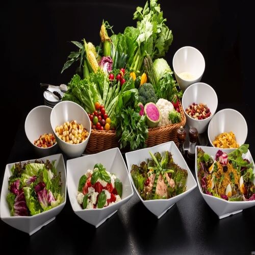 [Summer limited menu from 7/16 to 8/31] Shinshu Kogen Salad Bar