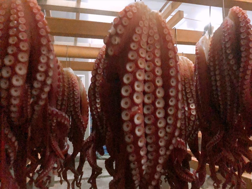 Voice-related birth octopus