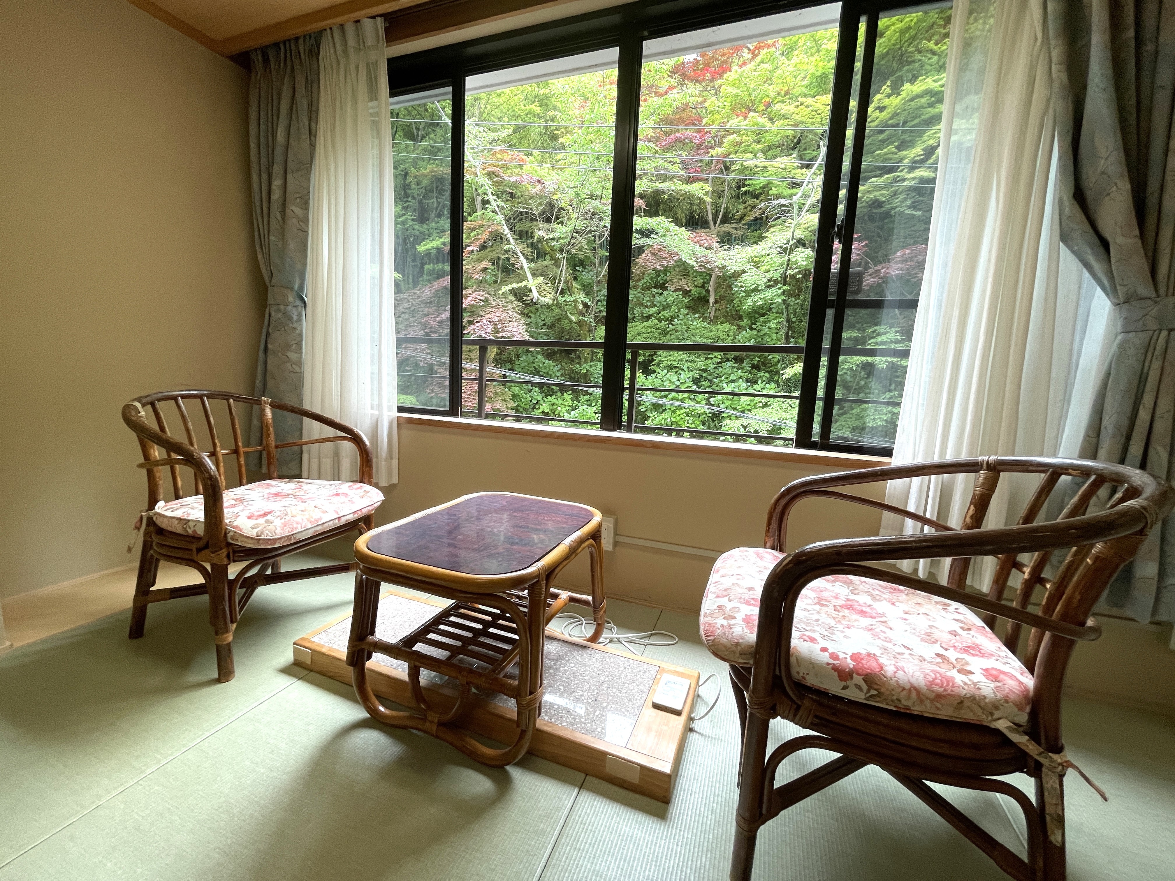 West Wing Japanese-style Room - Great Value UP Guest Room - Enjoy a quiet moment in the shade of the trees.