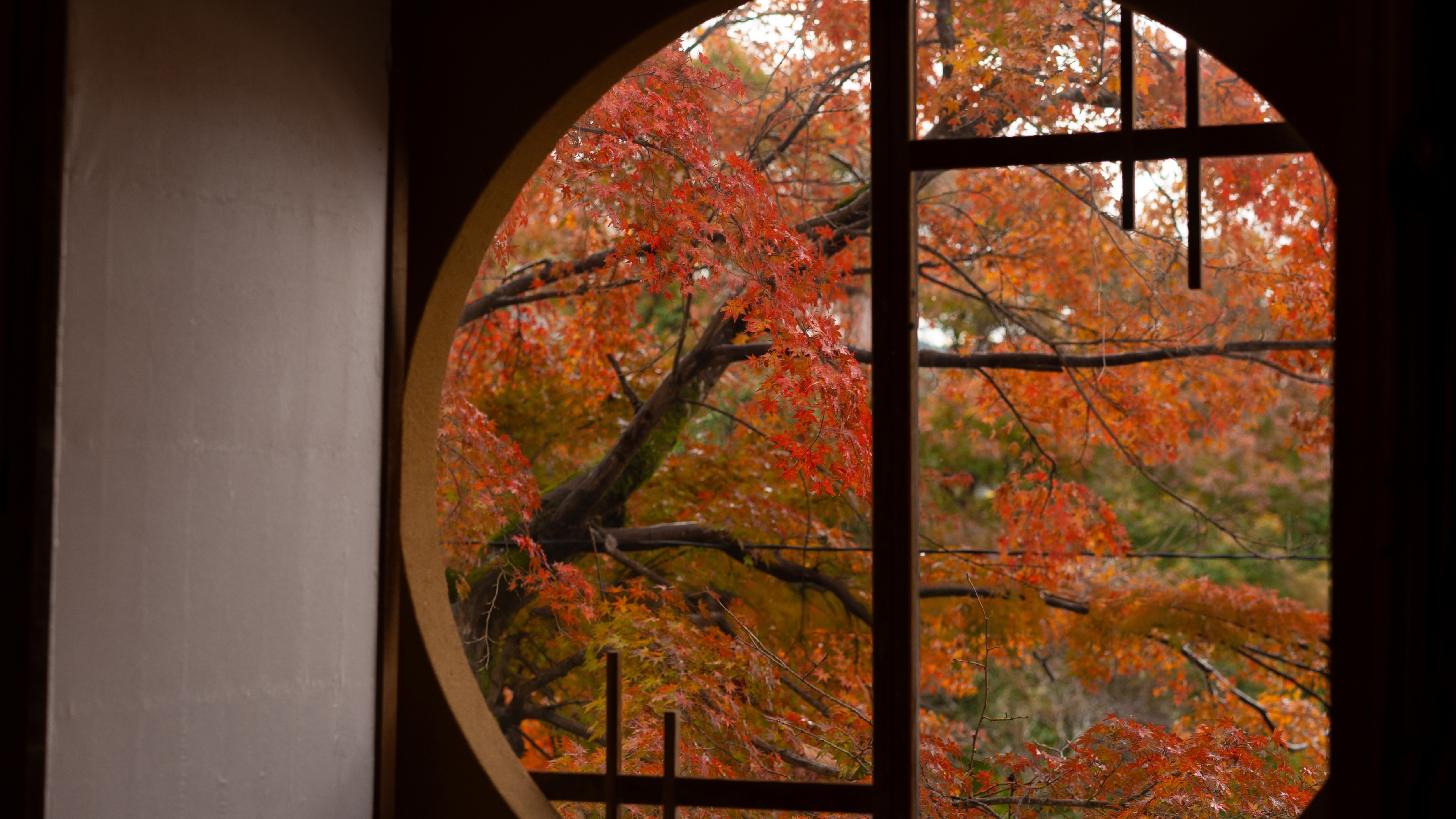 [Autumn] Round window