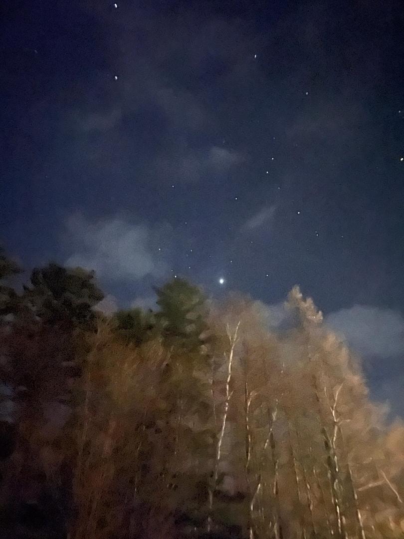 写真 2025-12-26 20 58 19.jpg