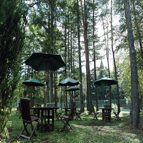 [Taman Hutan] Nikmati santapan Anda sambil dikelilingi alam *Gambar