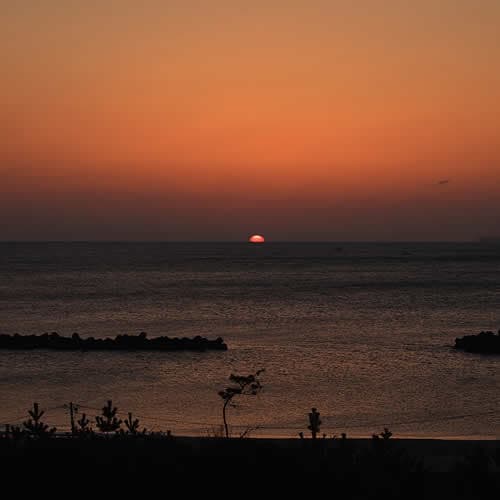 從海邊客房看到的朝日