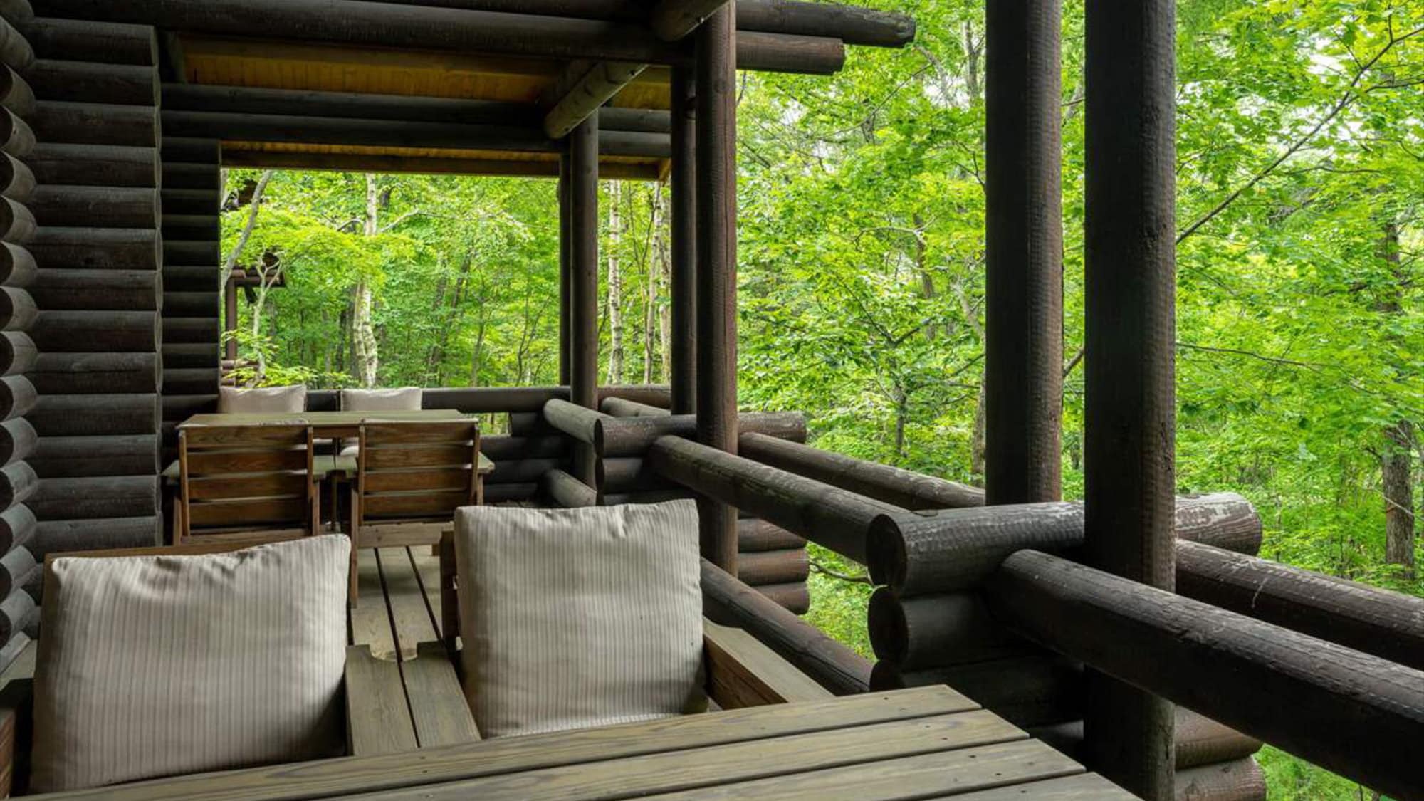 Forest View Cottage [Terrace]