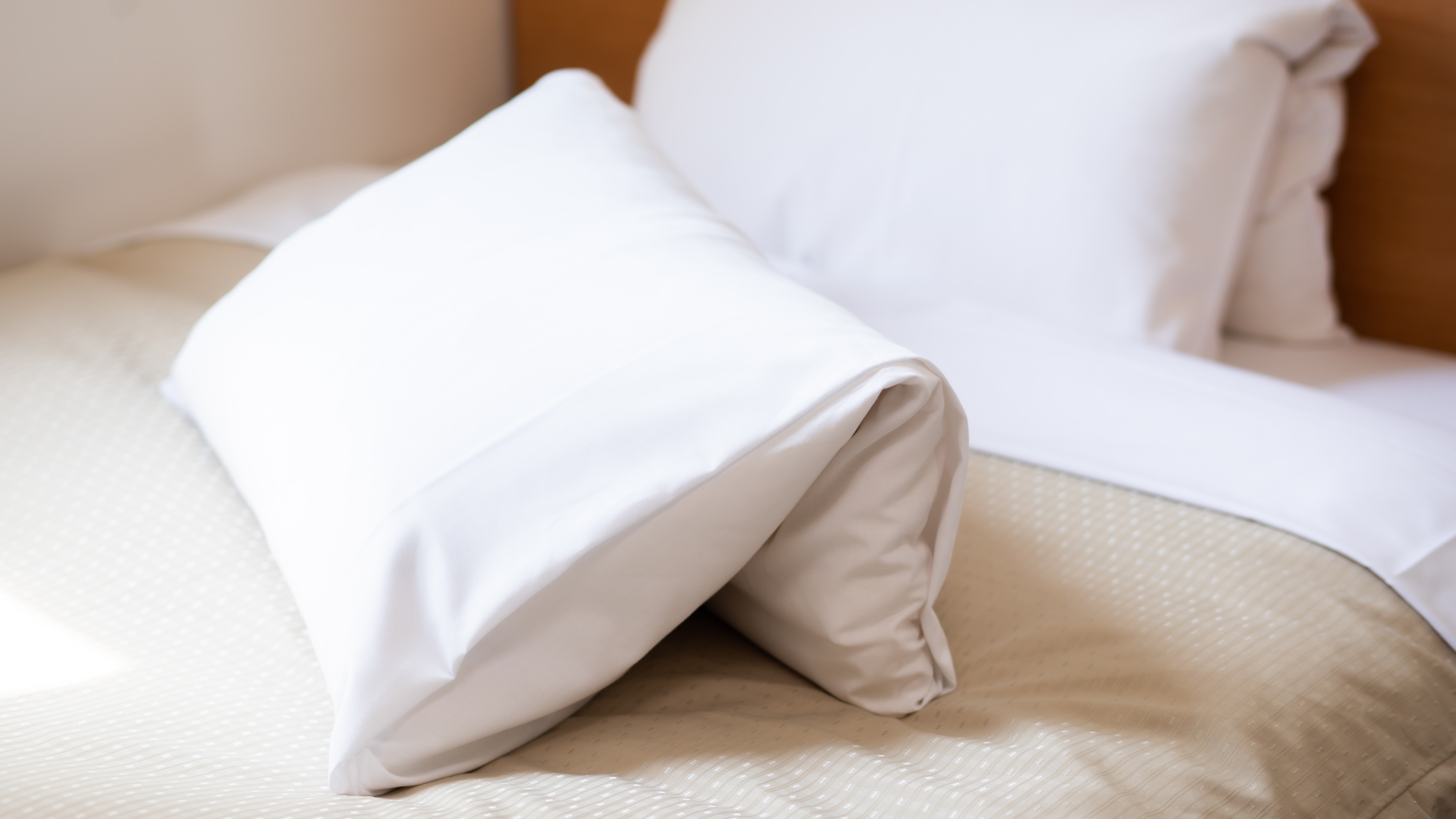 [Guest rooms] Foldable pillows