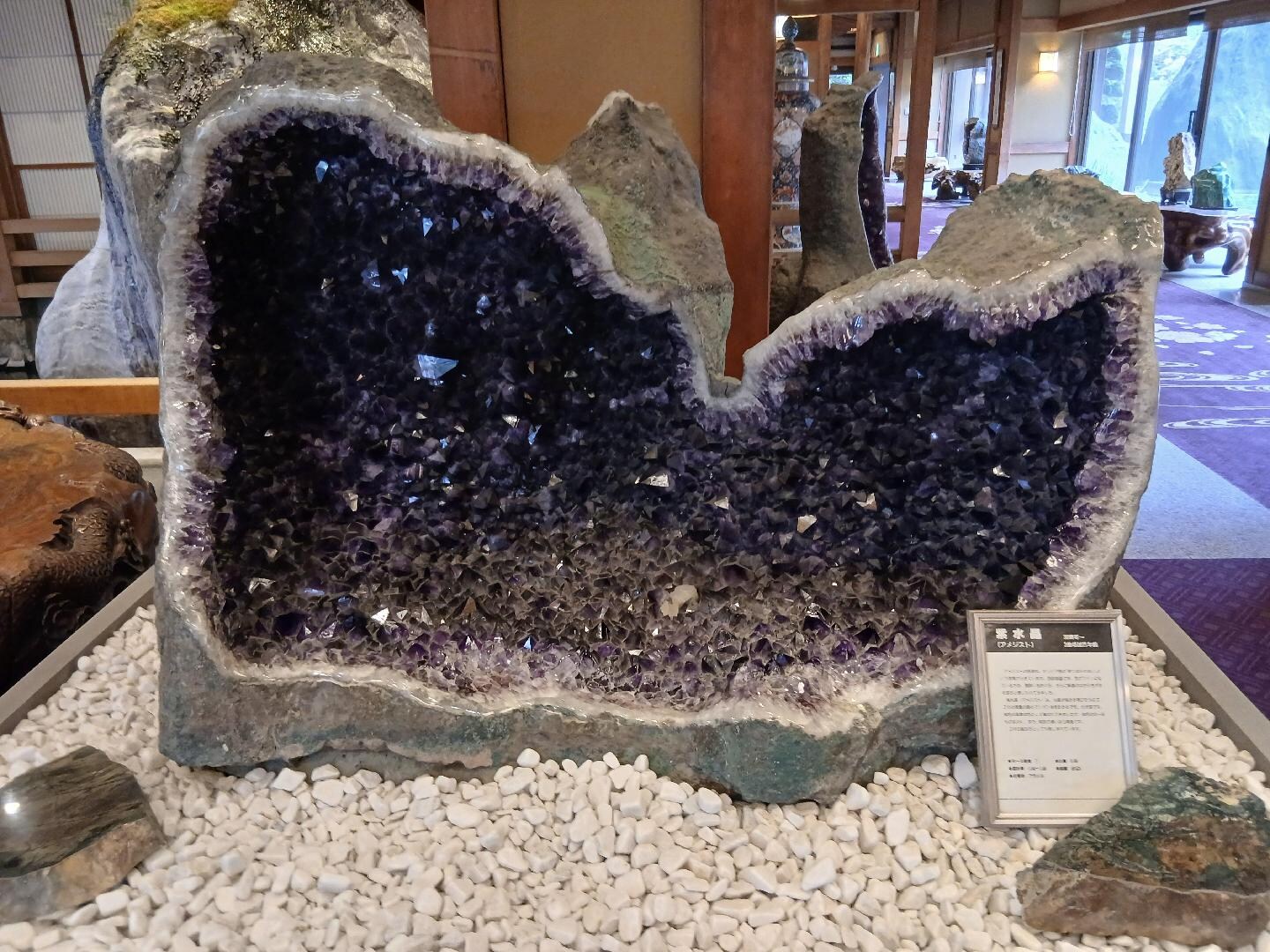 39779.jpg