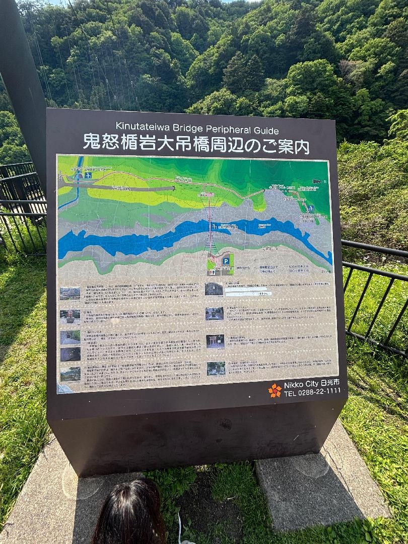 IMG_7442.jpeg