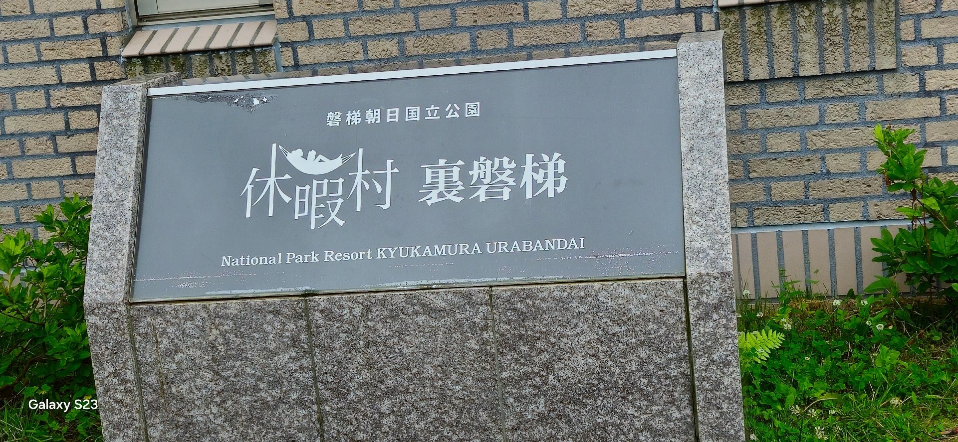 1000026532.jpg