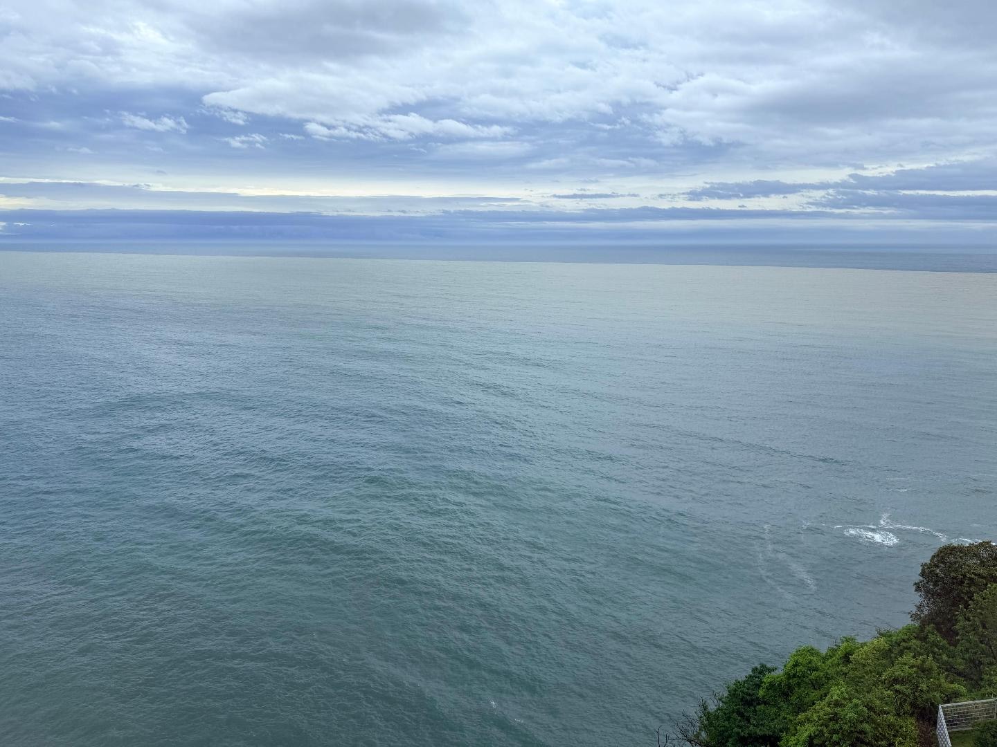 19EB3915-501A-40D8-A43A-F435F71A0C8B.jpeg