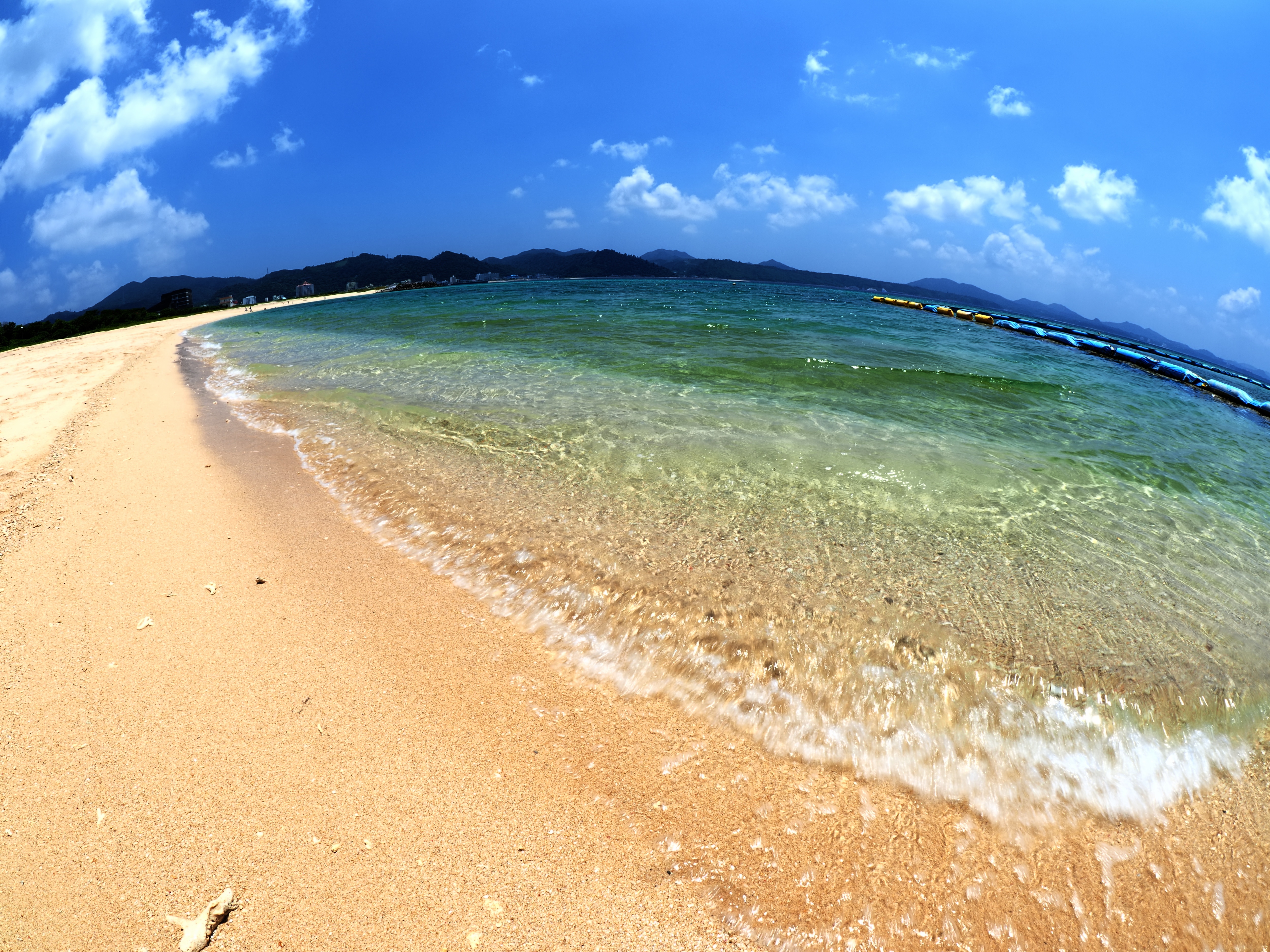 21st century forest beach