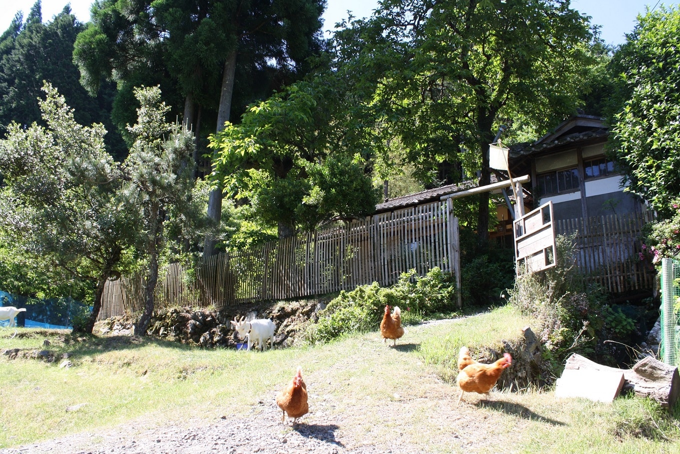 gate
