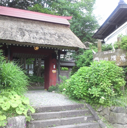 Appearance image