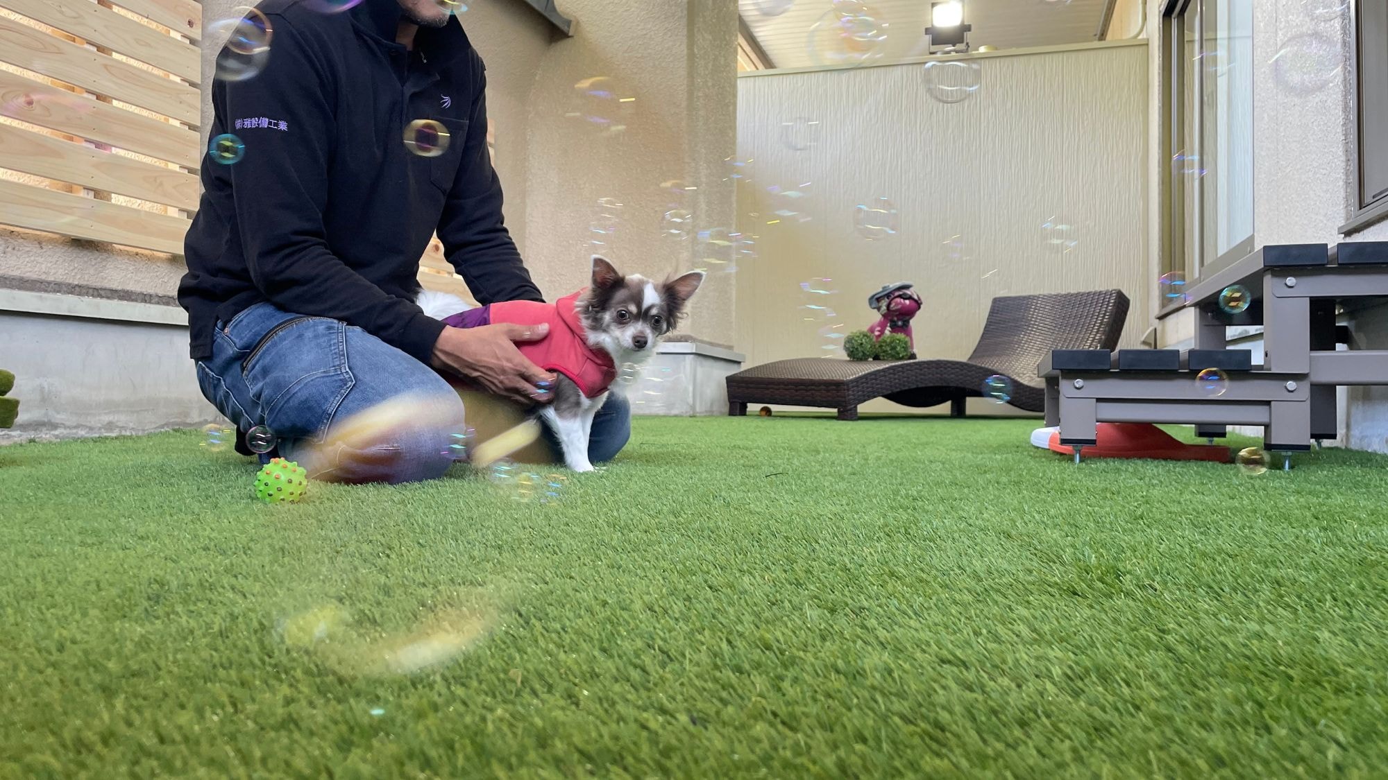Pure Japanese-style guest rooms with private dog run