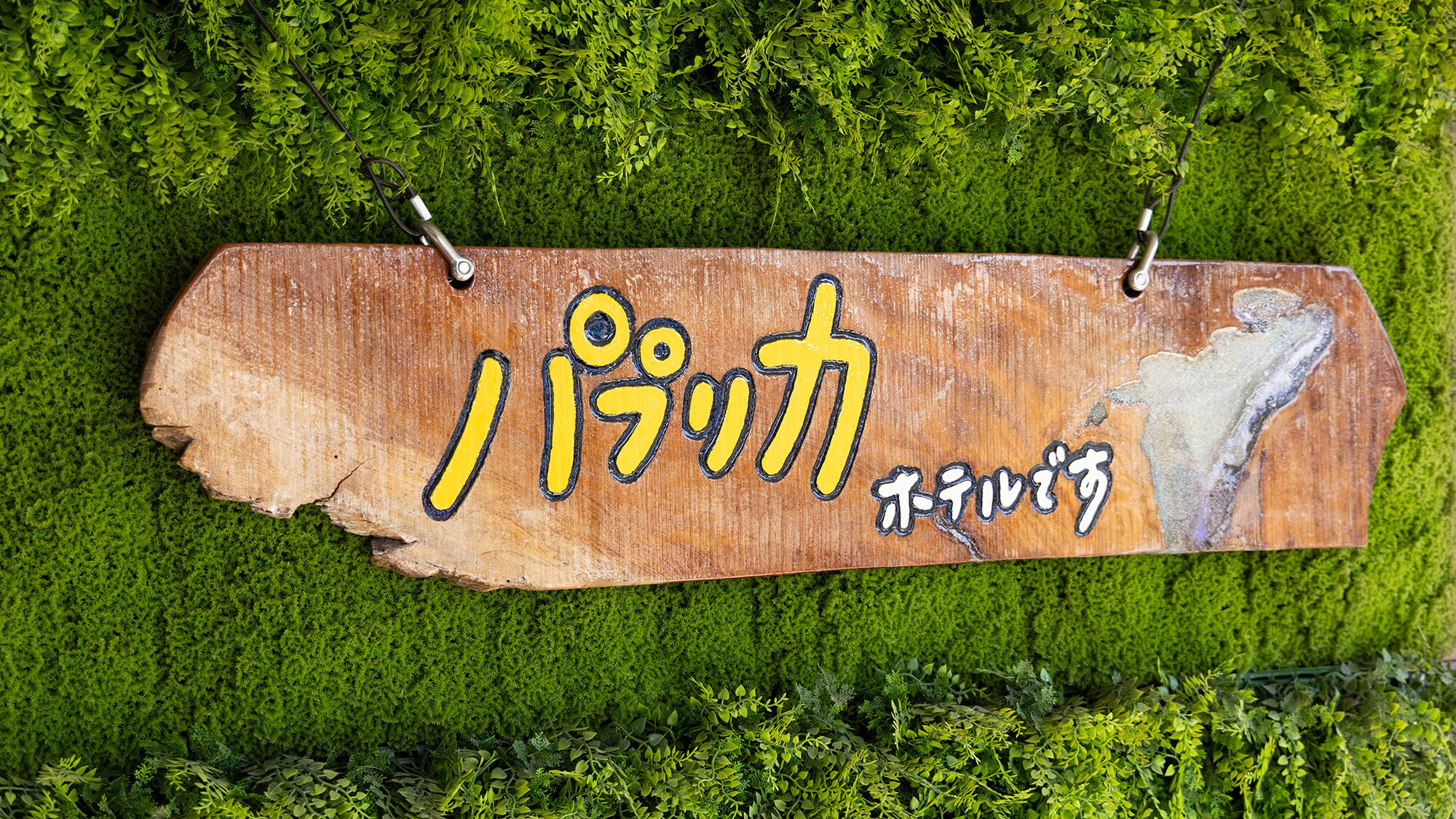 โรงแรมปาปริก้า ชื่อดังทางทีวีและโซเชียลมีเดีย