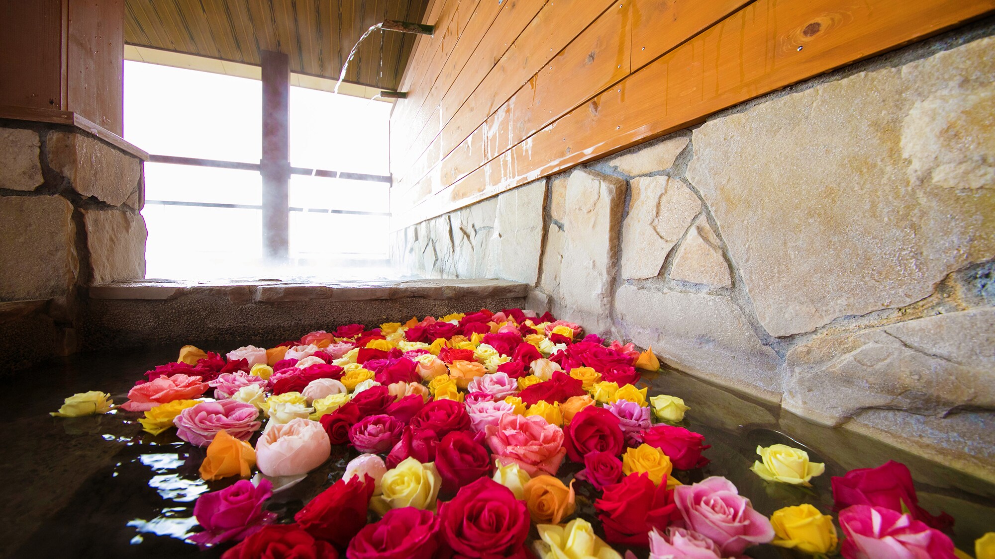 [Rose bath (women only)]