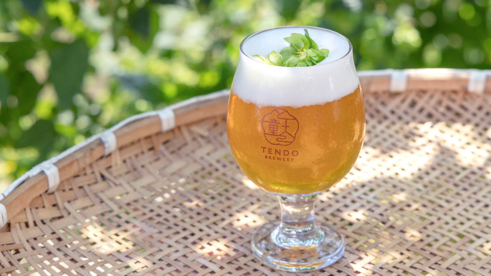 [Tendo Onsen Oktoberfest] Edisi terbatas "Shirataka Fresh Hop Beer"