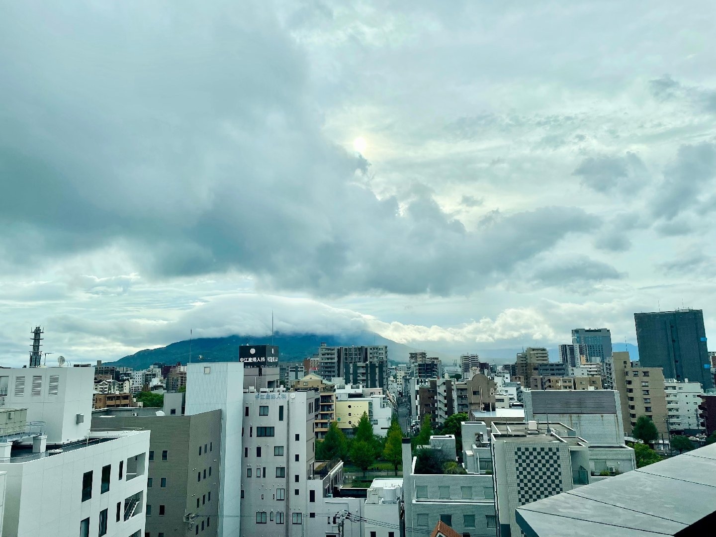 IMG_6293.jpeg