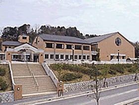 Appearance image
