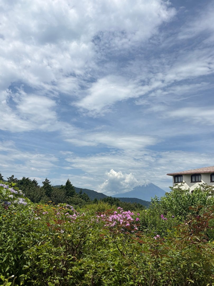IMG_7766.jpeg