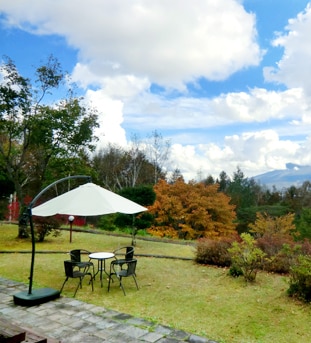 Courtyard photo