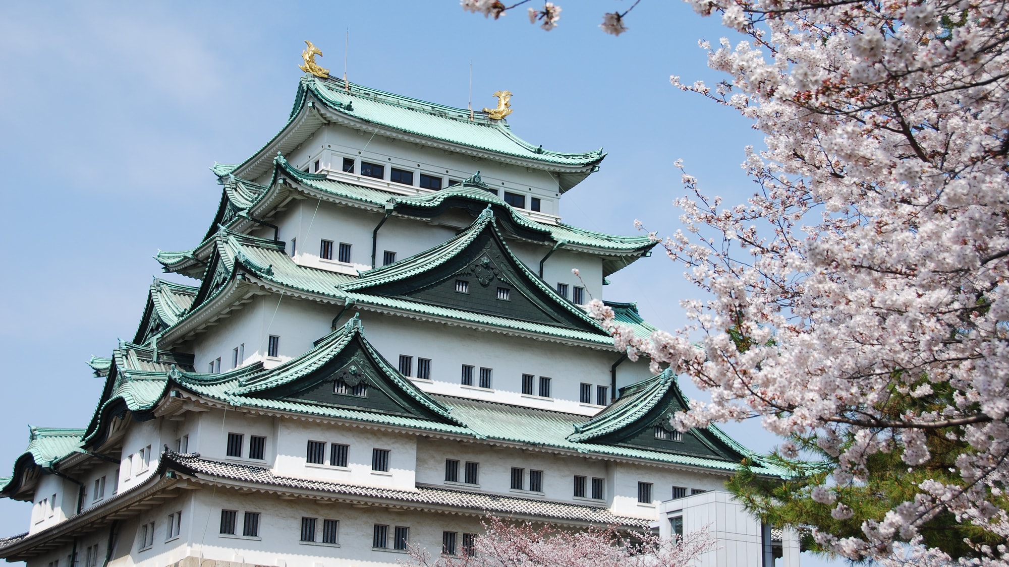 ◆ Nagoya Castle (Spring)